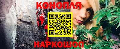 прущие грибы Абакан