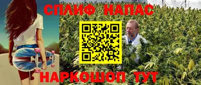 spice Абинск