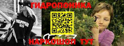 прущие грибы Абакан