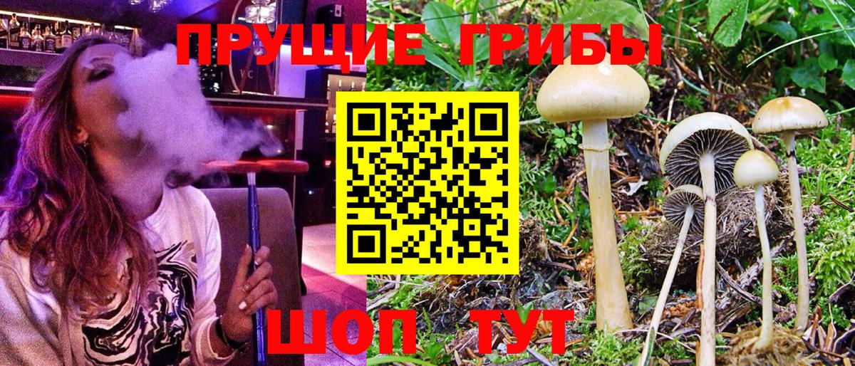 Галлюциногенные грибы MAGIC MUSHROOMS Абинск